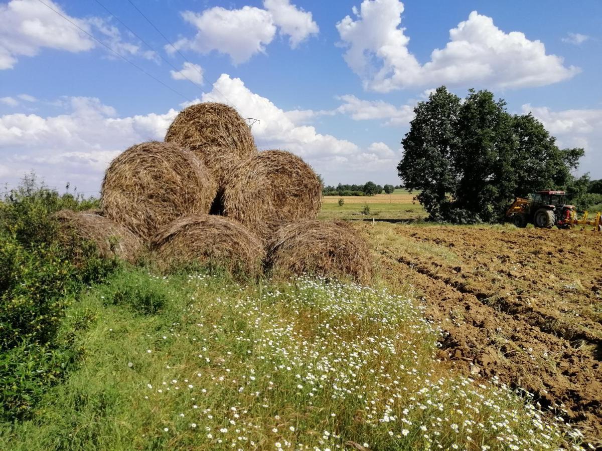 Hotel Rural Lajafriz Fornillos de Aliste Exteriör bild